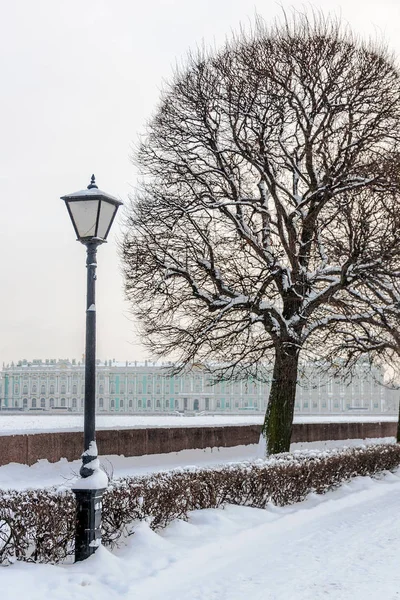Saint Petersburg landmark Vasilievsky Adası tükürmek