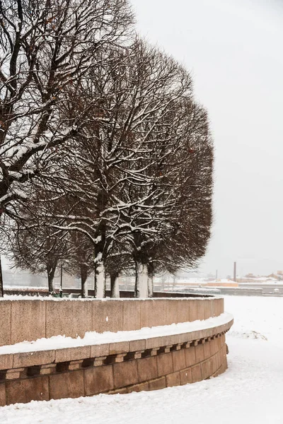 Saint Petersburg, Rusya'nın turistik landmark: Vasilievsky Adası tükürmek bir kış günü ağaçlarının silüetler ile tarafından tarafından kar kaplı.