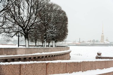 Saint Petersburg Vasilievsky Adası tükürük