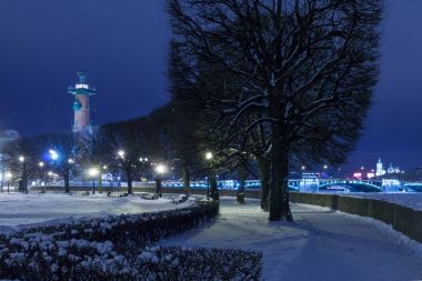 Rostral sütun Simgesel Yapı Saint Petersburg gece