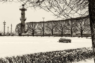 Saint Petersburg, Rusya'nın işareti: rostral sütun ve bir park tarafından bir kış günü kar çok ile Vasilievsky adasında ağaçlarının silüetler ile. Retro siyah ve beyaz fotoğraf