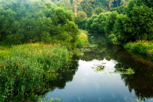 Letni ranek rzeka — Zdjęcie stockowe