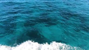 Tropik cennet deniz arka planı. Palms Karayip Denizi ve Atlantik Okyanusu kıyıları. Yavaş çekim seyahat turizm konsepti