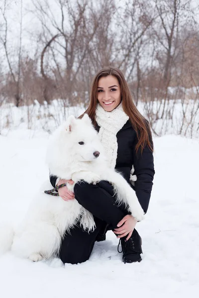 Kvinnan ägare petting embracing vit samojedvalpar hund på snö — Stockfoto