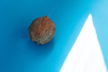 Üzerinde mavi arka plan izole Hindistan cevizi. Kırpma yolu