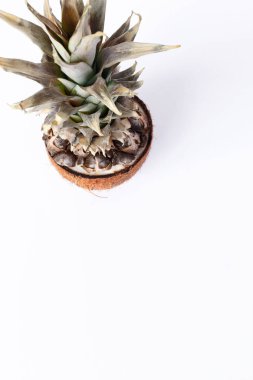 Taze ananas ve hindistancevizi beyaz arka plan üzerinde