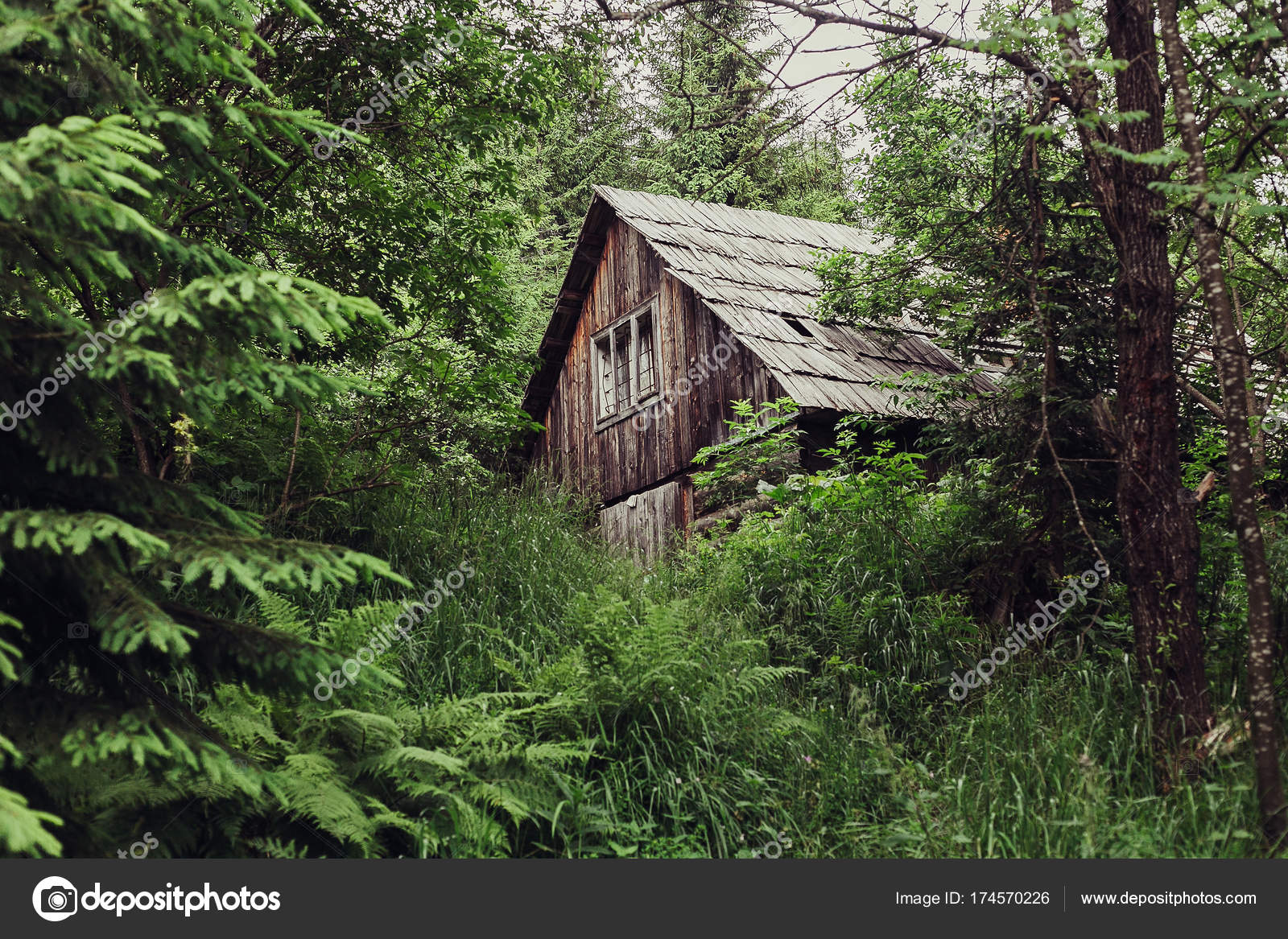 Paisajes cabañas en el bosque | pequeña cabaña en el bosque — Foto de