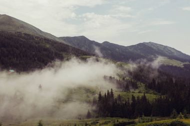 Ormanlık dağ yamacı düşük