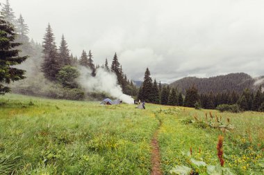Ladin ağaçlarının yemyeşil yeşil yemek artığı arkasında güneş ayarı