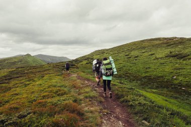 Grup yürüyüşçü bir iz doğru bir dağ sırtı boyunca sırt çantaları yürüyüş ile