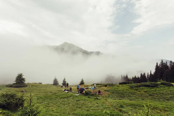 Ormanlık dağ yamacı düşük