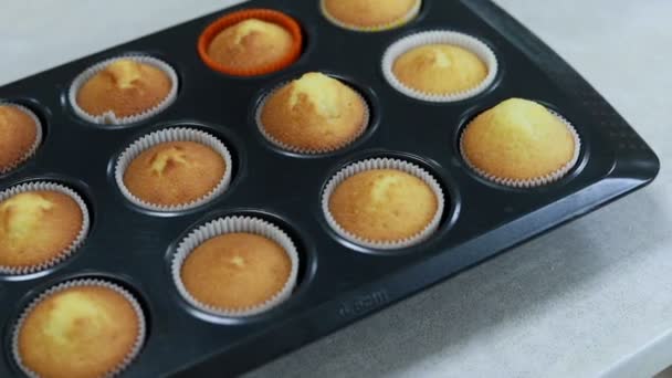 Muffins Ψήσιμο Στο Φούρνο Ώρα Λήξη Πλάνα Του Μαγειρέματος Cupcakes — Αρχείο Βίντεο