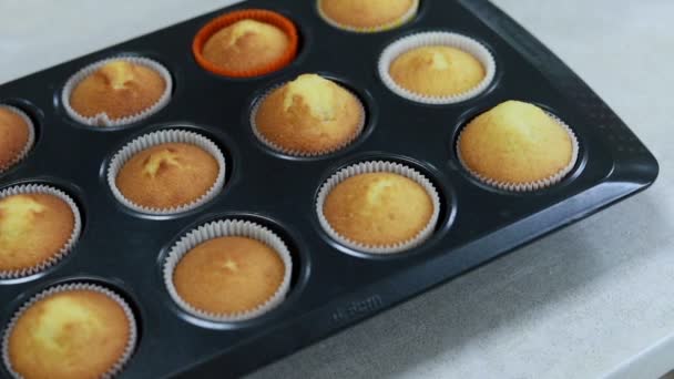 Muffins Backen Ofen Zeitraffer Aufnahmen Vom Kochen Von Cupcakes Uhd — Stockvideo
