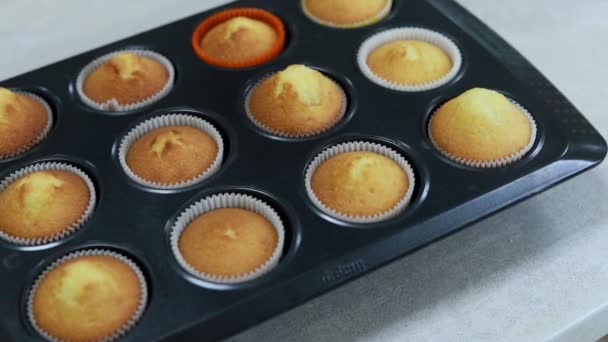 Muffins Bakken Oven Tijd Lapse Beelden Van Koken Cupcakes Uhd — Stockvideo