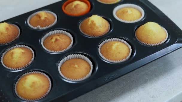 Muffins Backen Ofen Zeitraffer Aufnahmen Vom Kochen Von Cupcakes Uhd — Stockvideo