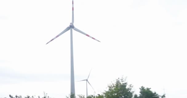 Windturbinepark Windenergie — Stockvideo