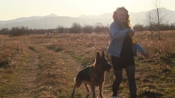 Mulher Bonita Jovem Com Cabelos Vermelhos Brincando Com Seu Animal — Vídeo de Stock