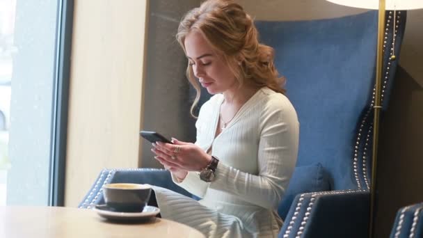 Portrait Jolie Jeune Femme Caucasienne Utilisant Téléphone Dans Café Souriant — Video