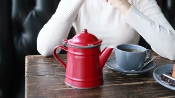 Reggeli Tea Gyönyörű Kütyüivel Kávézóban Zárja Kellemes Arcát Vonzó Női — Stock videók