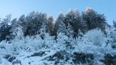 Avrupa 'nın tepesine giden bir trenin penceresinden gün boyunca karlı dağların güzel manzarası.