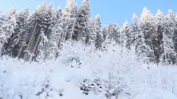 Hermosa Vista Las Montañas Nevadas Durante Día Desde Ventana Viaje — Vídeos de Stock