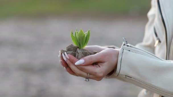 Händer Som Håller Växt Plantering Med Vacker Solnedgång Ljus Begreppet — Stockvideo