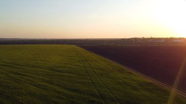 Zonsondergang Boven Landbouwhongersnood Luchtfotografie Landschap Groene Weide Geploegd Zwart Veld — Stockvideo