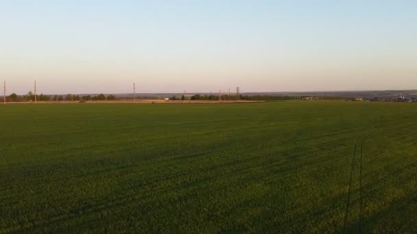 Puesta Sol Sobre Las Tierras Cultivo Fotografía Aérea Campo Prado — Vídeo de stock