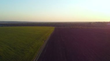 Tarım kıtlığı üzerinde gün batımı. Hava fotoğrafçılığı: kırsal alan, yeşil çayır ve sürülmüş siyah tarla, kamera tarlanın ve yeryüzünün sınırında uçuyor, ilkbaharda gün batımında,.