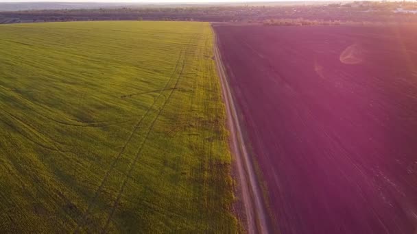 Naplemente Mezőgazdaságban Légi Fotózás Vidék Zöld Rét Szántott Fekete Mező — Stock videók