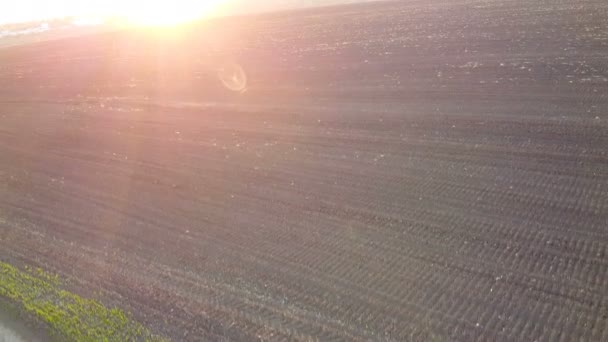 Coucher de soleil sur les terres agricoles. Photographie aérienne : campagne, prairie verte et champ noir labouré, appareil photo vole le long de la frontière du champ et de la terre, au coucher du soleil au printemps, en été .