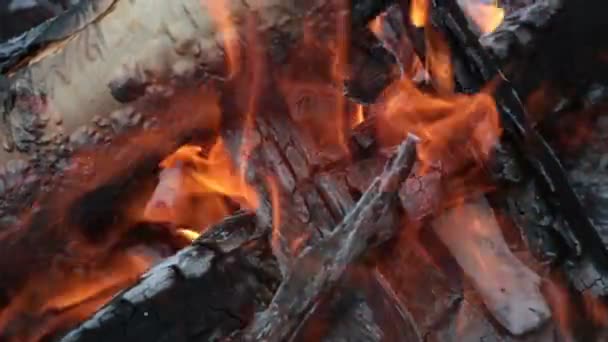 キャンプファイヤーのたき火の炎を閉じて スローモーション燃焼薪 — ストック動画