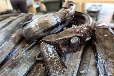 Madeira pazarının taze balık