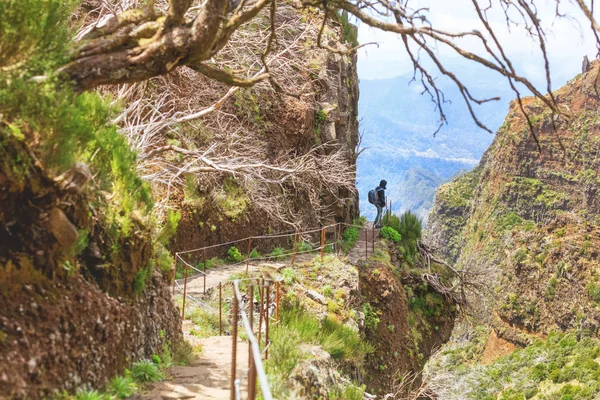 Hiking in Madeira — Stock Photo, Image