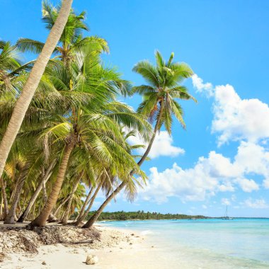 Dominik Cumhuriyeti Vacation