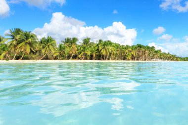 Dominik Cumhuriyeti Vacation