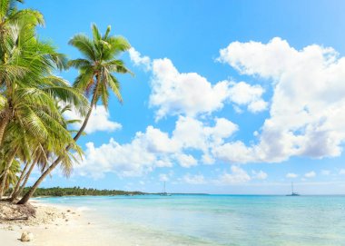 Dominik Cumhuriyeti Vacation