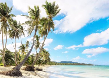 Dominik Cumhuriyeti Vacation