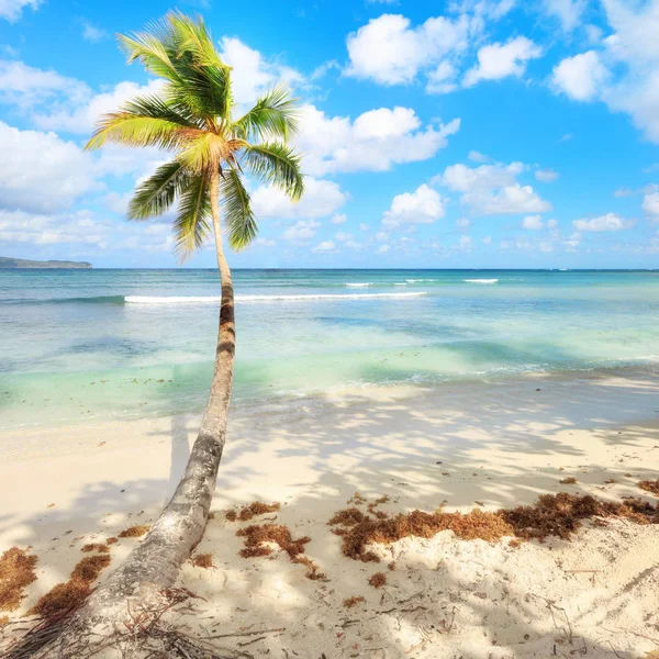 Vacaciones en República Dominicana — Foto de Stock