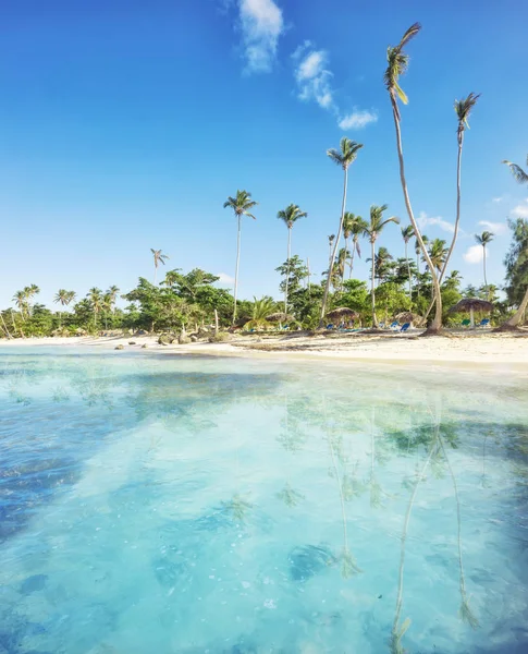 Vacaciones en República Dominicana — Foto de Stock