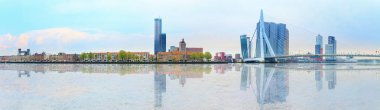 Rotterdam Panoraması