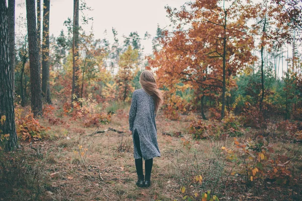 Dziewczyna w lesie jesienią ma zdrowe włosy długie, białe, — Zdjęcie stockowe