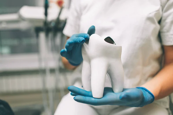 Retrato de dentista feminina. Ela está de pé em seu consultório de dentista. — Fotografia de Stock