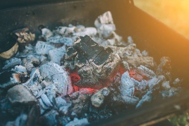 Barbekü yapma ve doğada öğle yemeği arkadaşlar. Piknik - barbekü partisinde mutlu insanlar, içme ve yemek yeme sırasında eğlenmek Çift.