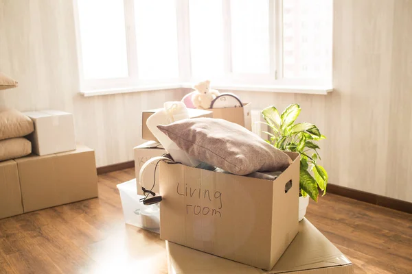 Imagen de la caja llena. Hay diferentes ropas, cosas y otras cosas en ella. También se trata de una planta doméstica verde detrás de la caja. Estas cosas se encuentra cerca de la ventana en una habitación luminosa . — Foto de Stock