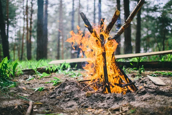 Закрытие горящих костров в лесу. — стоковое фото