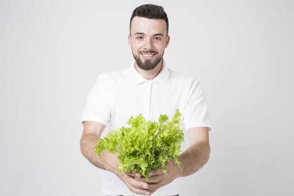 Muž držící saláty zblízka. koncepce. Superfoods — Stock fotografie