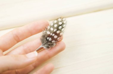 Beyaz arka plan üzerinde elinde küçük tüy güveci