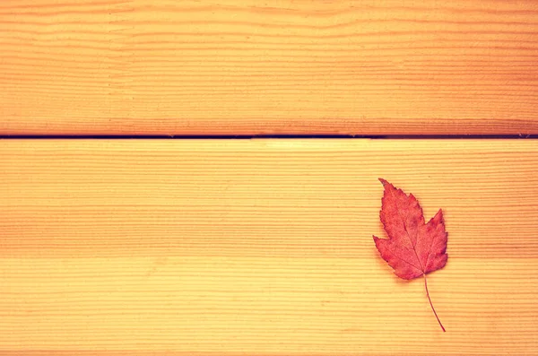 Höstens tid dekoration, torr lönnlöv fästa på rep med kläder stift, trä bakgrund instagram filter — Stockfoto