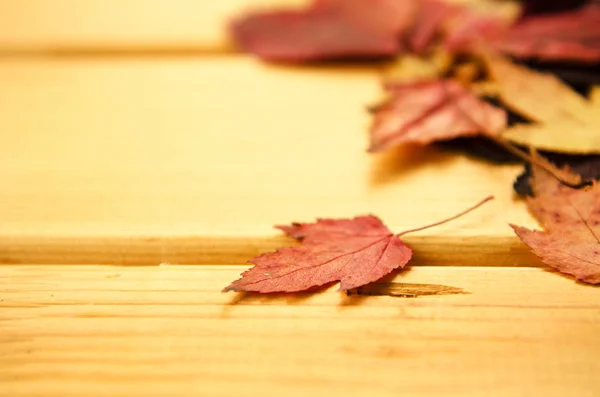 Осеннее украшение, сухие кленовые листья pinnedrope с булавкой одежды, деревянный фон — стоковое фото